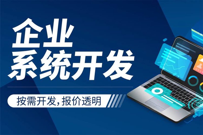 职场新绿：求职平台如何制作出高效工具